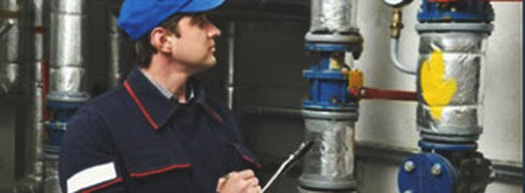 WORKPLACE INSPECTION ONLINE TRAINING ONTARIO CANADA